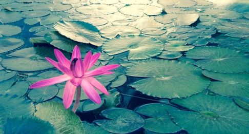weekend-zen